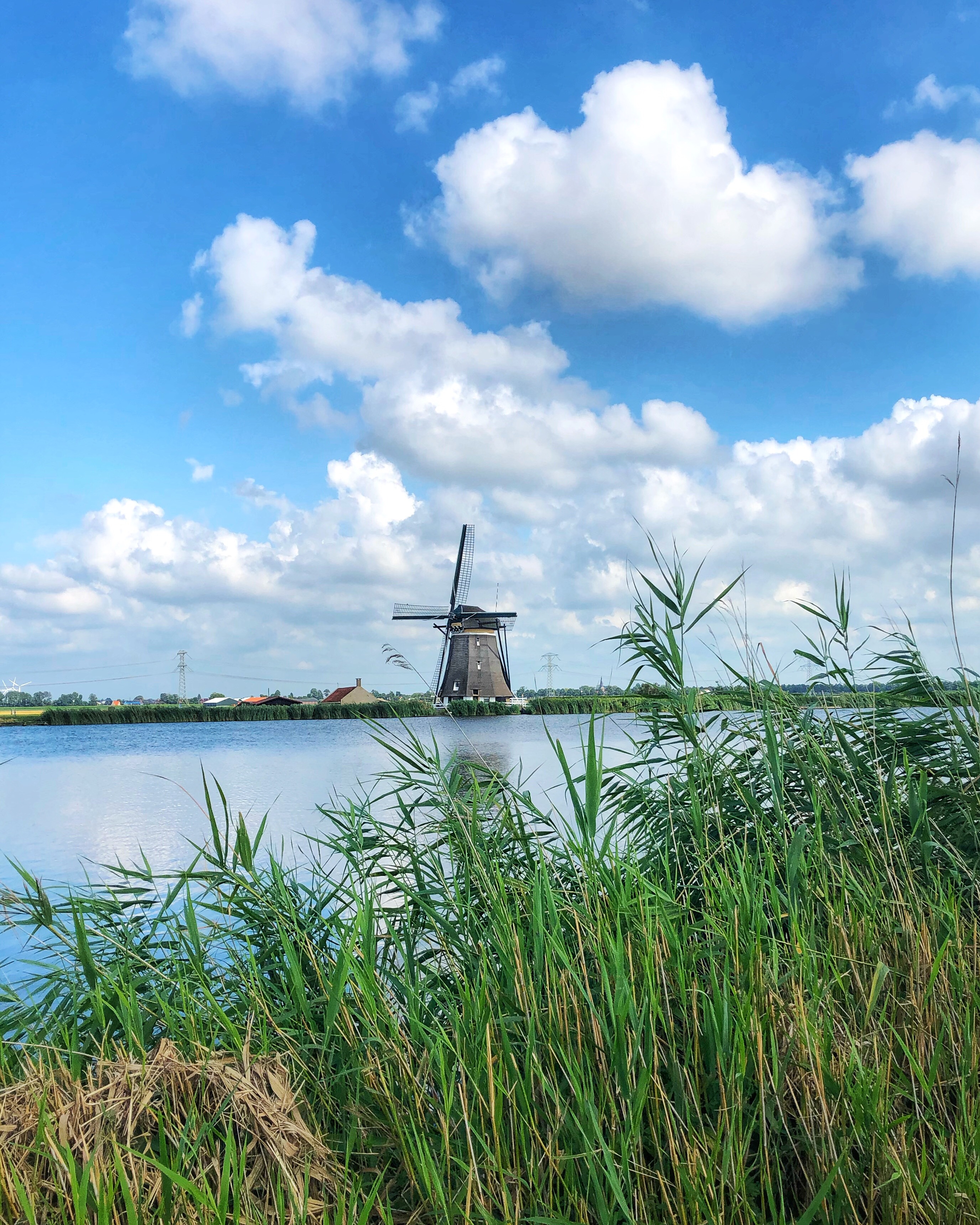 7 Fun Facts About The Netherlands Video Cycling In The